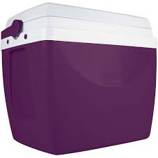 CAIXA TÉRMICA 34L BERINJELA/AÇAÍ