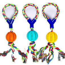 BOLINHA RUGBY DENTAL PLAY COM CORDA LAÇO 7CM X 30CM SORTIDO