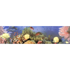 LISTELO RÉGUA 15X60CM RHD4012
