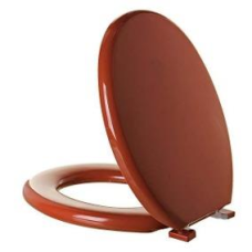 ASSENTO CONVENCIONAL SOFT MARROM - TPJ/AS*MR1